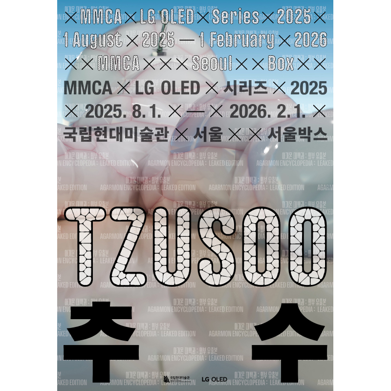 MMCA×LG OLED Series 2025—TZUSOO 