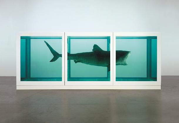 ‹The Physical Impossibility of Death in the Mind of Someone Living›, 1991, Glass, painted steel, silicone, monofilament, shark and formaldehyde solution, 217 × 542 × 180 cm. Private Collection. © Damien Hirst and Science Ltd. All rights reserved, DACS 2026. Photographed by Prudence Cuming Associates