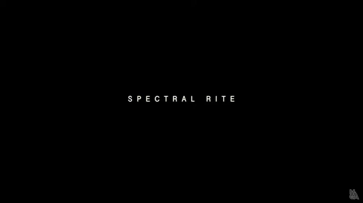 다원예술 : 스펙트럼 의식 | SPECTRAL RITE